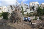 ילדים אוספים עצים למדורת ל&quot;ג בעומר