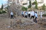 Children collecting firewood Lag BaOmer