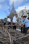 Children collecting firewood Lag BaOmer