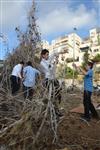 Children collecting firewood Lag BaOmer