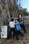 Children collecting firewood Lag BaOmer