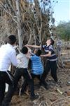 Children collecting firewood Lag BaOmer