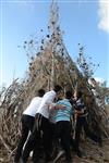 Children collecting firewood Lag BaOmer