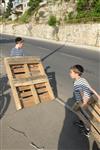 Children collecting firewood Lag BaOmer