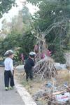 Children collecting firewood Lag BaOmer