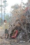 Children collecting firewood Lag BaOmer