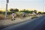 חגיגת ל&quot;ג בעומר
