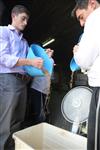 Harvested wheat shmurah matzah for Passover