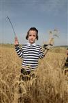 Harvested wheat shmurah matzah for Passover