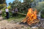 Burning of Chametz