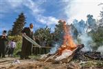 Burning of Chametz