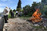 Burning of Chametz