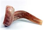 shofar