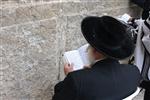 יהודי חסידי מתפלל מתוך סידור ליד אבני הכותל המערבי