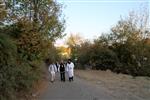 Breslov Chassidim celebrate the Rosh Hashana in Zion Rabbi Nachman of Uman, Ukraine