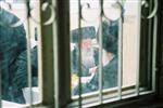 לימוד תורה