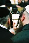 לימוד תורה