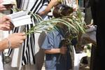 Sukkot