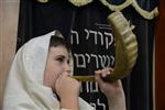 shofar