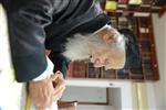 הרב גרשון אדלשטיין