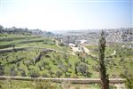 The cemetery in East Jerusalem - Mount of Olives