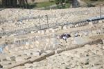 The cemetery in East Jerusalem - Mount of Olives