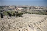 The cemetery in East Jerusalem - Mount of Olives