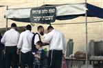 הגעלת כלים