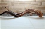 Shofar for blowing the shofar on Rosh Hashanah