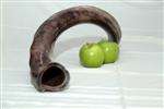 Shofar for blowing the shofar on Rosh Hashanah