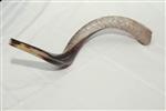 Shofar for blowing the shofar on Rosh Hashanah