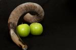 Shofar for blowing the shofar on Rosh Hashanah