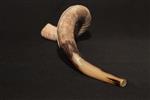 Shofar for blowing the shofar on Rosh Hashanah