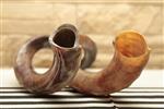 Shofar for blowing the shofar on Rosh Hashanah