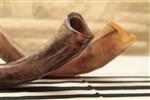 Shofar for blowing the shofar on Rosh Hashanah