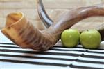 Shofar for blowing the shofar on Rosh Hashanah