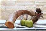 Shofar for blowing the shofar on Rosh Hashanah