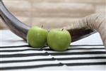 Shofar for blowing the shofar on Rosh Hashanah