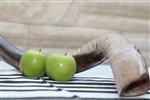 Shofar for blowing the shofar on Rosh Hashanah