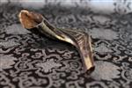 Shofar for blowing the shofar on Rosh Hashanah