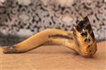 Shofar for blowing the shofar on Rosh Hashanah