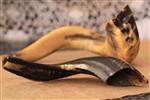 Shofar for blowing the shofar on Rosh Hashanah