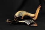 Shofar for blowing the shofar on Rosh Hashanah