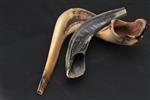 Shofar for blowing the shofar on Rosh Hashanah