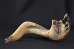 Shofar for blowing the shofar on Rosh Hashanah