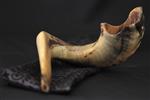 Shofar for blowing the shofar on Rosh Hashanah