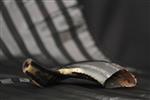 Shofar for blowing the shofar on Rosh Hashanah