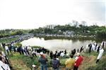 The Rebbe and Chassidim do Tashlich for the Day of Atonement