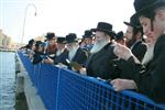 הרבי והחסידים מקיימים את מנהג תשליך לקראת יום הכיפורים
