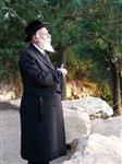 הרבי והחסידים מקיימים את מנהג תשליך לקראת יום הכיפורים